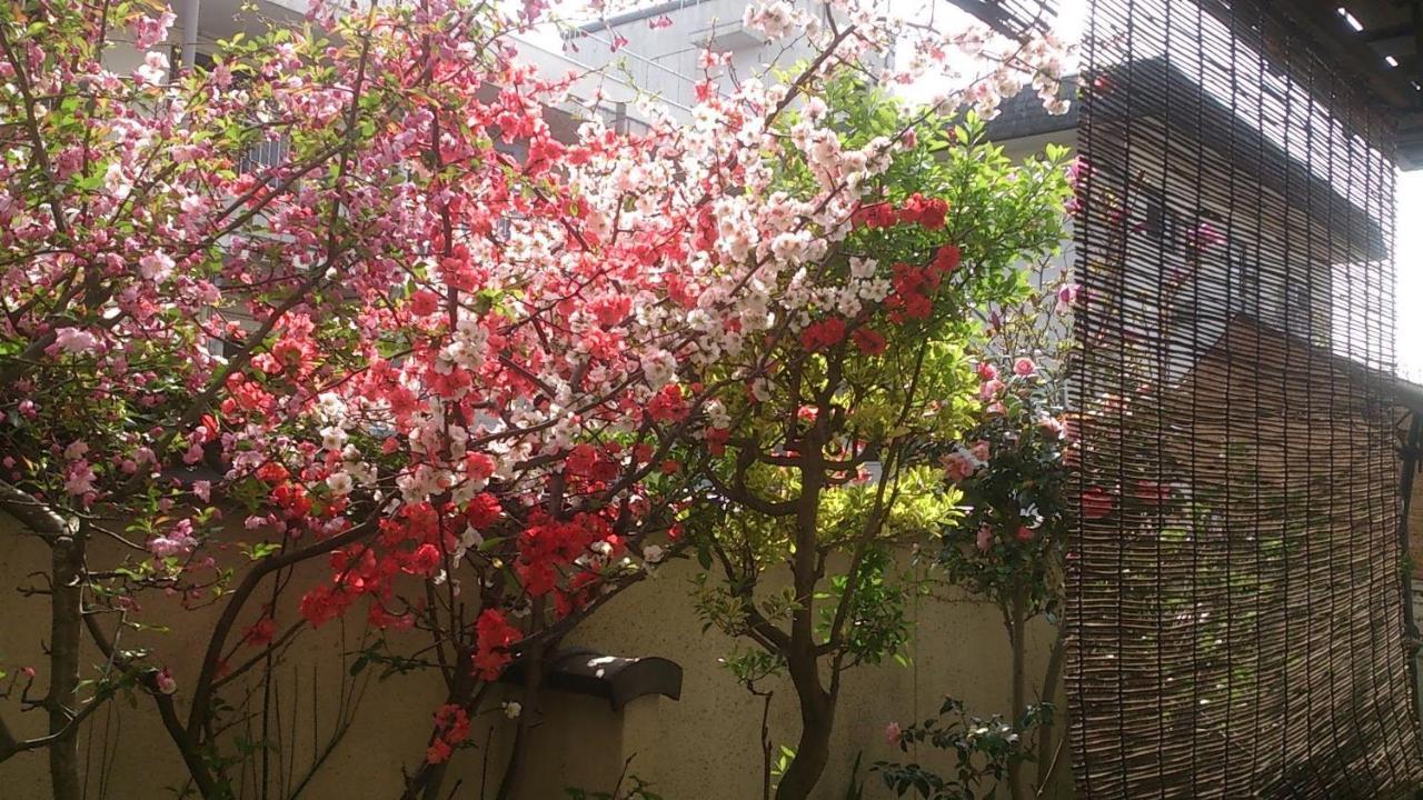 Thank You So Muchya Eikando Kyoto Exteriör bild